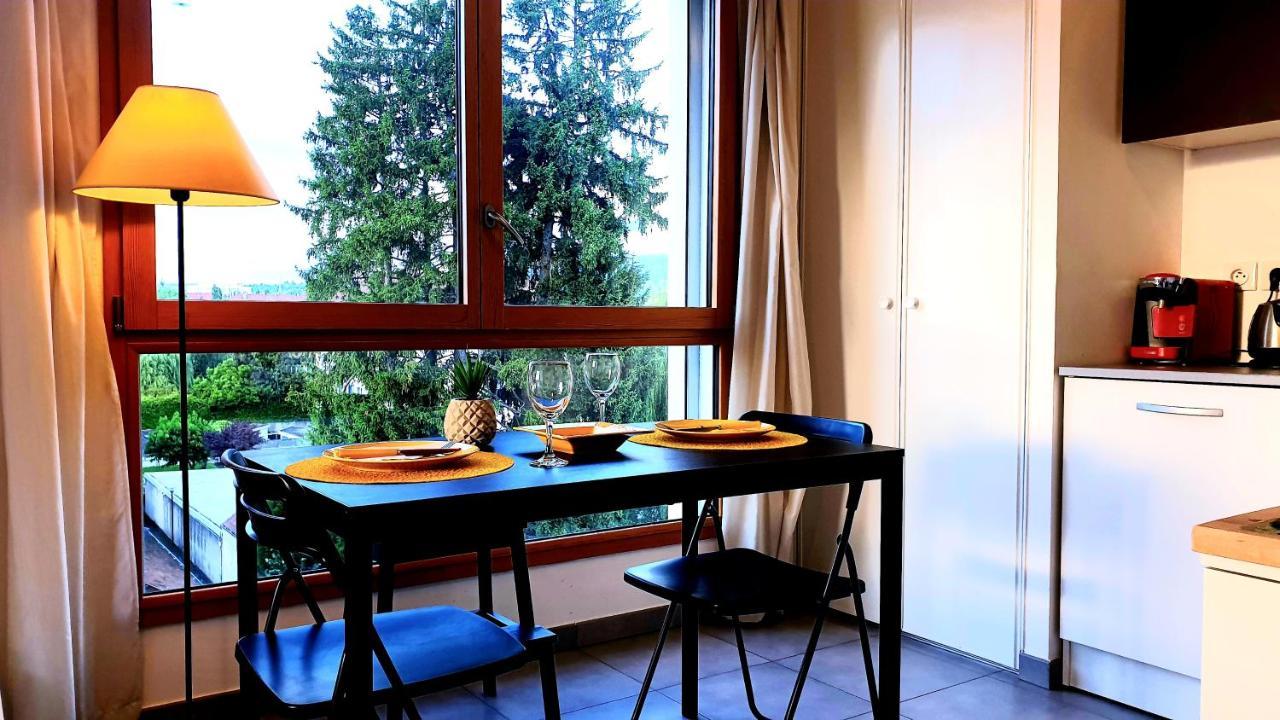 Appartamento Le Bellevue à 10min du centre à pied Annecy Esterno foto